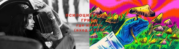 шишки Арсеньев