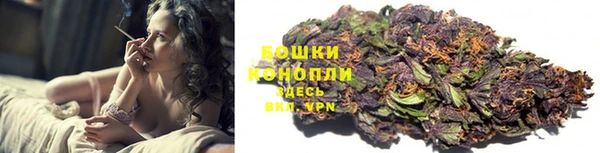 спайс Аркадак