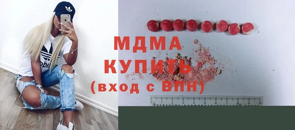 шишки Арсеньев