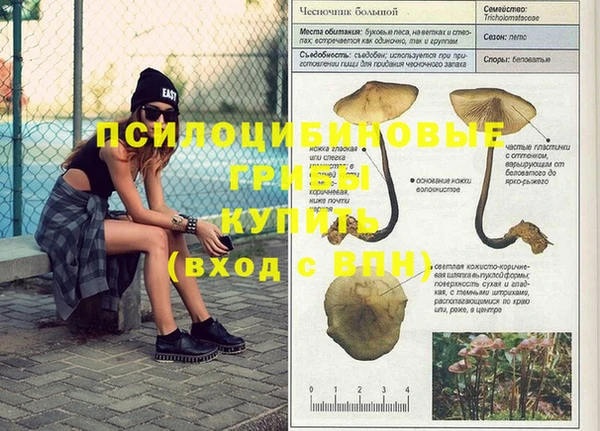 спайс Аркадак