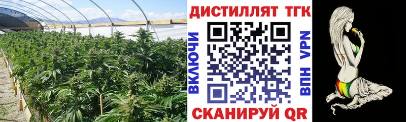 ТГК THC oil  магазин продажи   Куса 