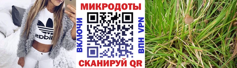 Галлюциногенные грибы прущие грибы  Куса 
